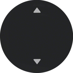 16202005 Rocker with imprinted arrows symbol Berker R.1/R.3/R.8, black glossy