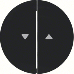 16252045 Rocker 2gang with imprinted arrow symbol Berker R.1/R.3/R.8, black glossy