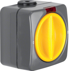 3142 Control rotary switch 2pole off surface-mounted with red lens,  Isopanzer IP66, dark grey/yellow
