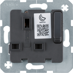 53420216 Socket outlet insert with earthing contact BRITISH STANDARD,  can be switched off with enhanced touch protection,  with screw terminals,  Berker Q.1/Q.3/Q.7/Q.9, anthracite matt
