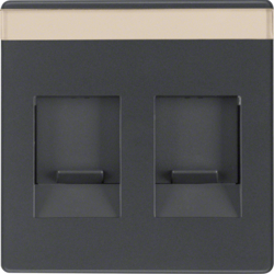 11816086 Centre plate with 2 dust protection sliders Labelling field,  Berker Q.1/Q.3/Q.7/Q.9, anthracite velvety,  lacquered