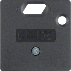 14931606 50 x 50 mm centre plate for RCD protection switch System 50 x 50 mm,  anthracite,  matt