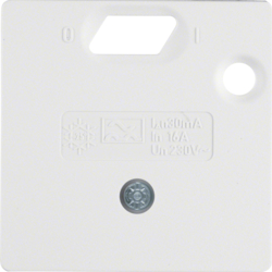 14931909 50 x 50 mm centre plate for RCD protection switch System 50 x 50 mm,  polar white matt/velvety
