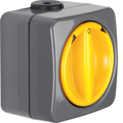 4342 Rotary switch for blinds 2pole with imprint surface-mounted Setting knob,  Isopanzer IP66, dark grey/yellow