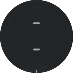 80161865 Push-button 1gang and RGB LED,  with integrated temperature sensor,  KNX - Berker R.1/R.3/Serie 1930/R.classic,  black glossy