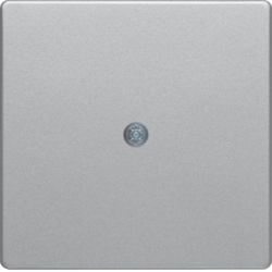 10196084 Centre plate for cable outlet Berker Q.1/Q.3/Q.7/Q.9