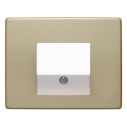 10340002 Centre plate with TAE cut-out Berker Arsys,  gold matt,  aluminium anodised