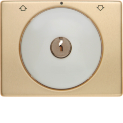 10790302 Centre plate with lock and push lock function for switch for blinds Key can be removed in 0 position,  Berker Arsys,  gold/polar white,  matt/glossy,  aluminium anodised