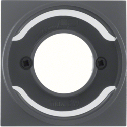 11981606 Centre plate for pilot lamp E14 Berker S.1/B.3/B.7, anthracite,  matt