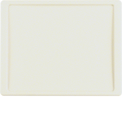 12040012 Centre plate for nurse call system Berker Arsys,  white glossy