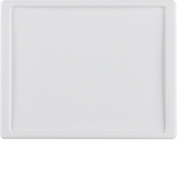 12040069 Centre plate for nurse call system Berker Arsys,  polar white glossy