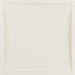 12048982 Centre plate for nurse call system white glossy