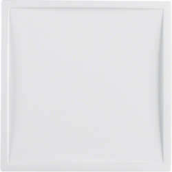 12049909 Centre plate for nurse call system polar white matt