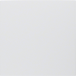 12881969 Centre plate for buzzer polar white matt