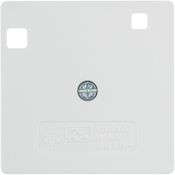 14961909 50 x 50 mm centre plate for RCD protection switch System 50 x 50 mm,  polar white matt