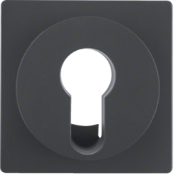 15076086 Centre plate for key switch/key push-button Berker Q.1/Q.3/Q.7/Q.9, anthracite velvety,  lacquered
