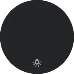 16202035 Rocker with imprinted symbol for light Berker R.1/R.3/R.8, black glossy