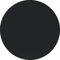 16202045 Wippe Berker R.1/R.3/R.8, schwarz glänzend