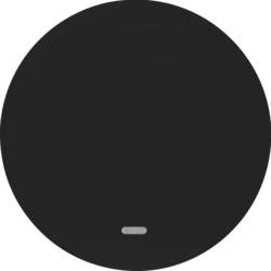 16212045 Rocker with clear lens,  Berker R.1/R.3/R.8, black glossy