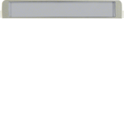 19057004 Beschriftungsfeld für Zwischenring Zentralplattensystem,  edelstahl matt,  lackiert
