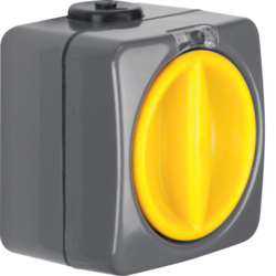 3046 Rrotary switch off/change-over surface-mounted Isopanzer IP66, dark grey/yellow