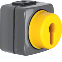 4386 Change-over switch 2pole surface-mounted for lock cylinders Isopanzer IP44, dark grey/yellow