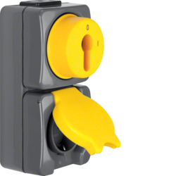 4432 Combination key switch/SCHUKO socket outlet with hinged cover and imprint surface-mounted Screw terminals,  Isopanzer IP44, dark grey/yellow