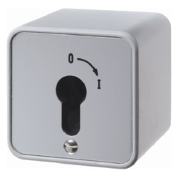 4466 On/off switch 2pole with imprint surface-mounted for lock cylinders with screw terminals,  Die-Cast IP44