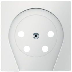6110366089 Centre plate for PTT socket outlet "Netherlands" Berker Q.1/Q.3/Q.7/Q.9, polar white velvety