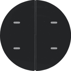 80162865 Push-button 2gang and RGB LED,  with integrated temperature sensor,  KNX - Berker R.1/R.3/Serie 1930/R.classic,  black glossy