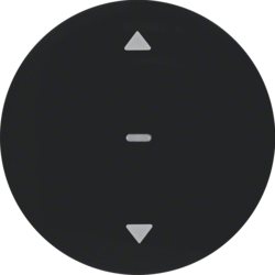 85241131 Blind button Berker R.1/R.3/R.8/Serie 1930/R.classic,  black glossy