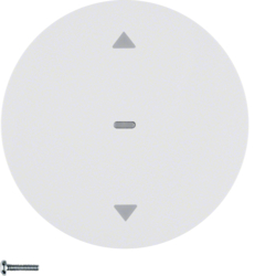 85241139 Blind button Berker R.1/R.3/R.8/Serie 1930/R.classic,  polar white glossy