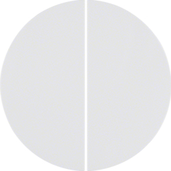 85648139 KNX radio button 4gang quicklink Berker R.1/R.3/R.8/Serie 1930/R.classic,  polar white glossy