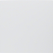 12881969 Centre plate for buzzer polar white matt