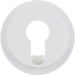 15072089 Centre plate for key switch/key push-button Berker R.1/R.3/R.8