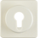 151912 Centre plate for key switch/key push-button Splash-protected flush-mounted IP44, white glossy