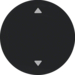 16202005 Wippe mit Aufdruck Symbol Pfeile Berker R.1/R.3/R.8, schwarz glänzend